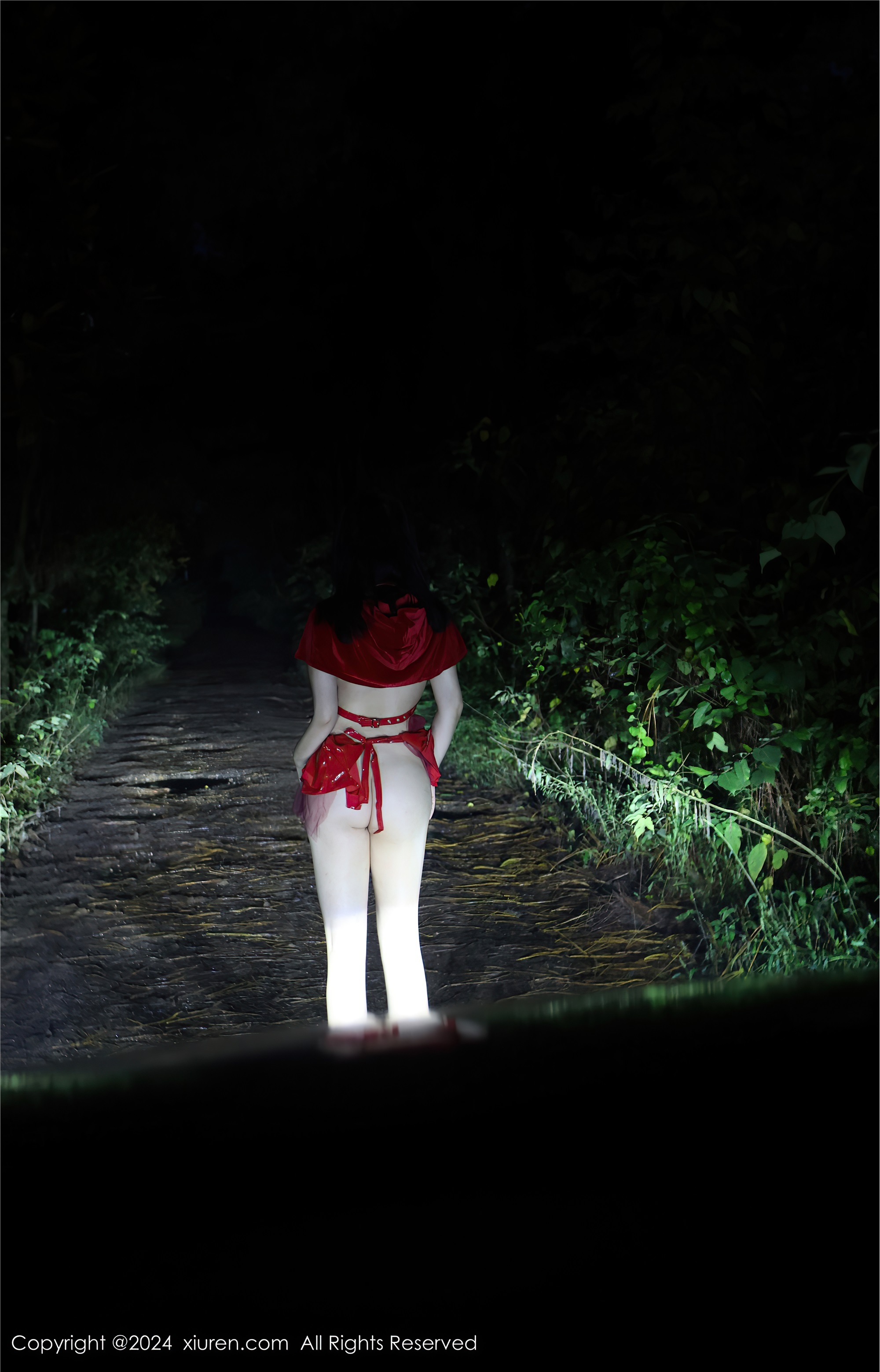 Xiuren秀人网 2024.10.31 NO.9376 小薯条nienie